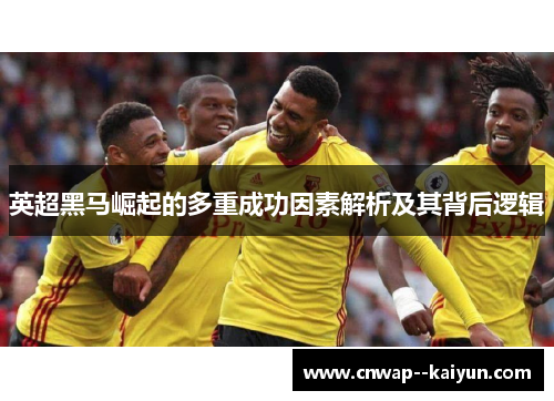 英超黑马崛起的多重成功因素解析及其背后逻辑 英超黑马崛起的多重成功因素解析及其背后逻辑
