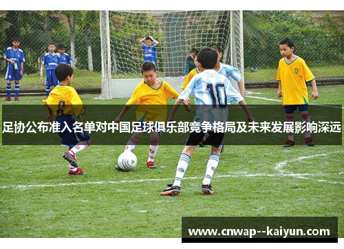 足协公布准入名单对中国足球俱乐部竞争格局及未来发展影响深远 足协公布准入名单对中国足球俱乐部竞争格局及未来发展影响深远