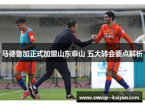 马德鲁加正式加盟山东泰山 五大转会要点解析